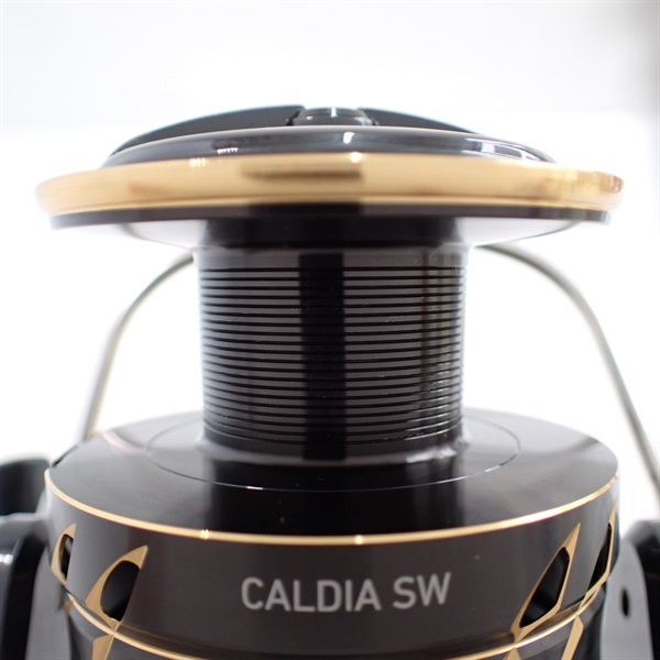 ２２カルディアＳＷ６０００Ｄ－Ｈ